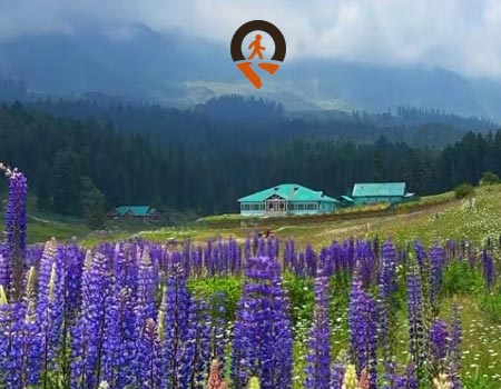 Meadows of Doodhpathri, Doodhpathri city packages