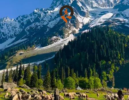 Kashmir Paradise Tour itinerary