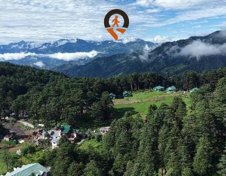 Pine forests of Patnitop, Patnitop city packages